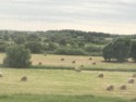 Bails of hay